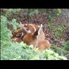 IMG_6847
20/06/2004 4:40:16 PM
